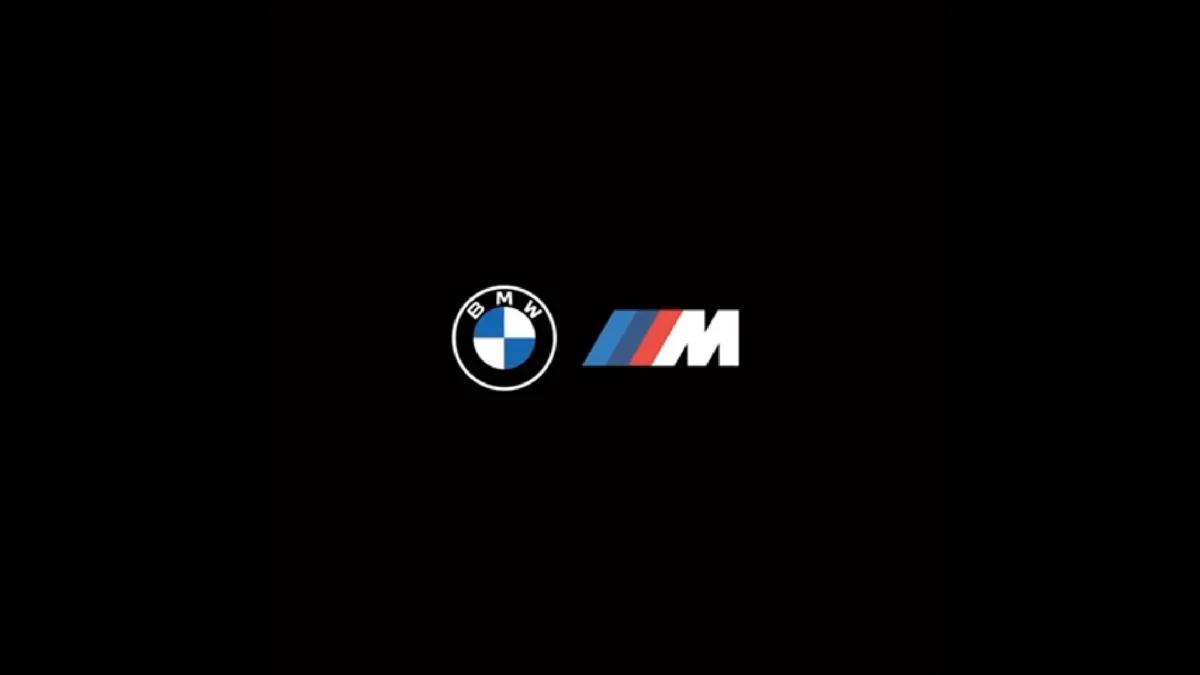 Our Portfolio